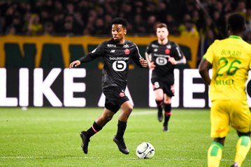 Nantes - LOSC  (0-1) le résumé