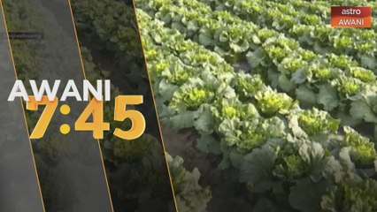 China perkenal teknik tanaman pintar tanpa manusia