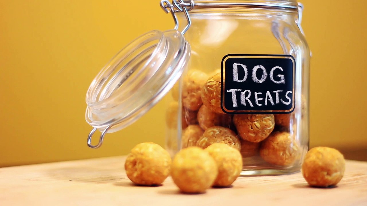 Try and Make These 3-Ingredient Peanut Butter Pumpkin Treats Your Dog Will Love!