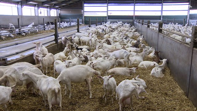 Les agriculteurs européens inquiets par la flambée du prix des engrais