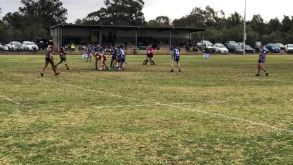 Area News Waratahs vs Yenda