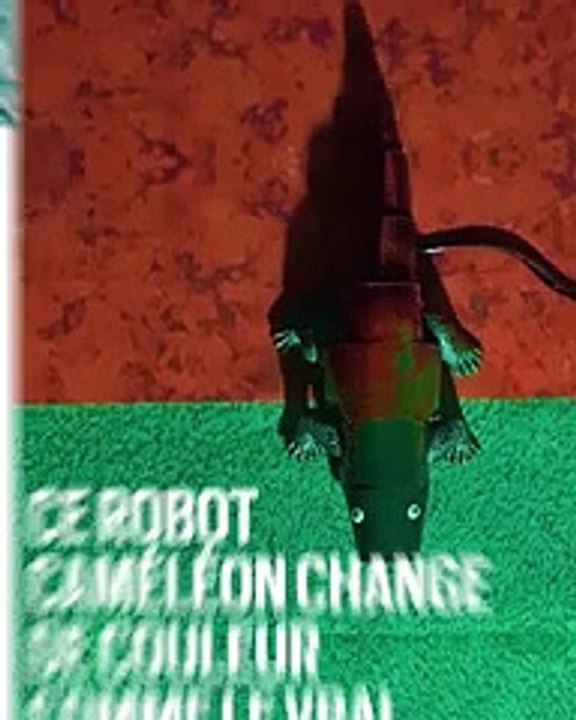 Ce robot caméléon change  de couleur comme le vrai