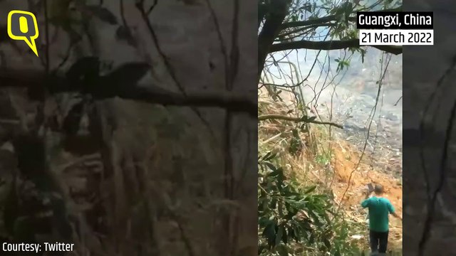 Airplane Crash | Boeing 737 Carrying 132 People Crashes in China's Guangxi Province