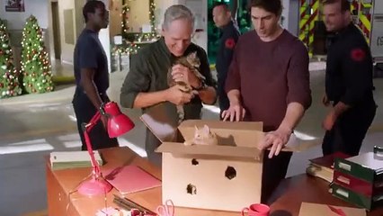 THE NINE KITTENS OF CHRISTMAS Trailer (2022) Romance Movie