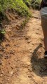 Springy Rat Snake Surprises Hikers