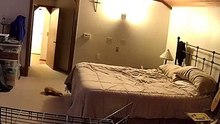 Homem decide deixar uma câmara no quarto para perceber porque todos os dias a sua cama ficava desarrumava