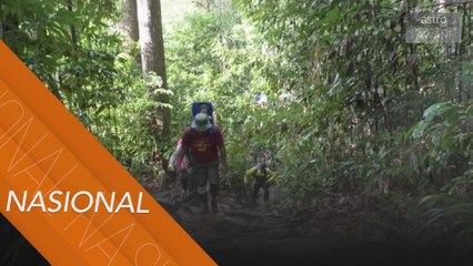 Sebarang aktiviti di kawasan hutan simpan Kelantan tidak dibenarkan