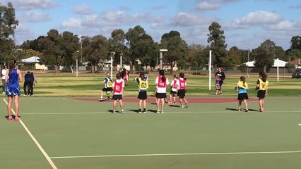 20180505 Griffith netball