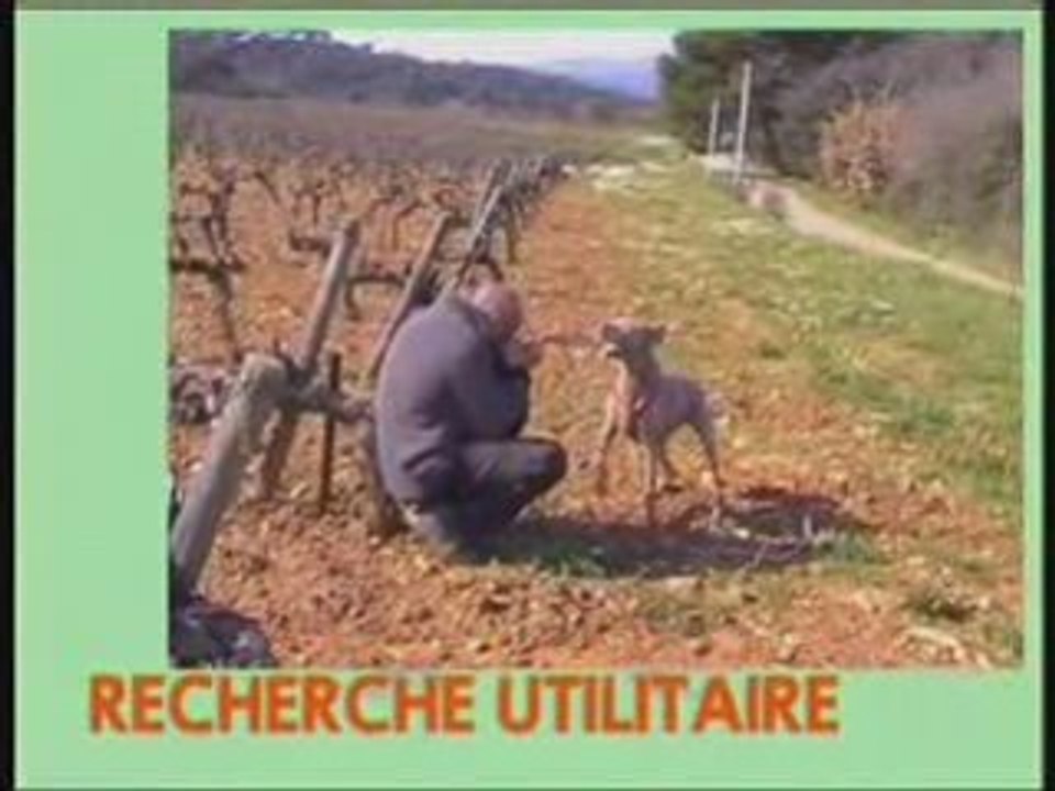 club canin la valette