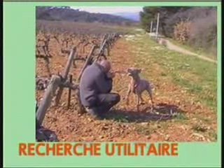 club canin la valette