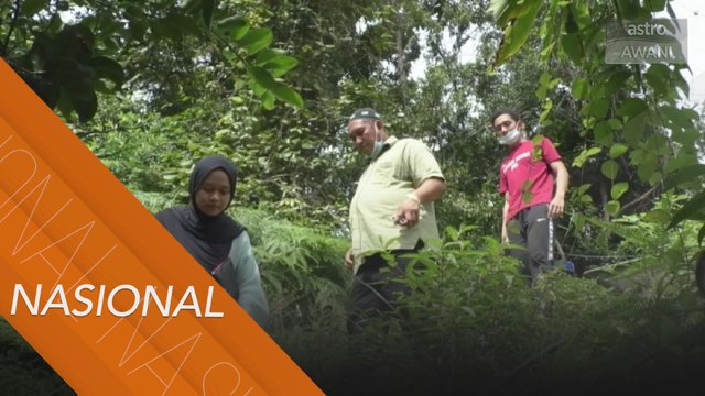 Daki bukit untuk akses internet