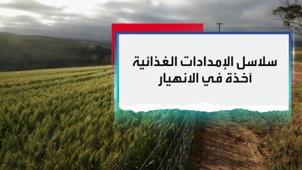 الحرب الروسية الأوكرانية تنذر بأزمة غذاء على المستوى العالمي