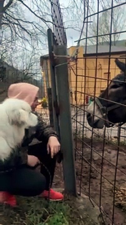 Coco Protects His Human's Hand