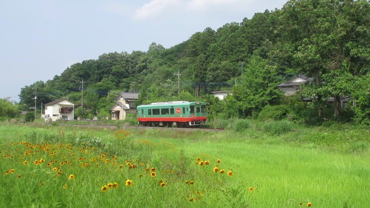 Japanese motor coach 14-2 on the Mooka line in the flowery countryside 気動車14-2号線は真岡線の通勤列車を運んでいます
