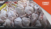 Peniaga Bimbang | Harga ayam catat peningkatan mendadak