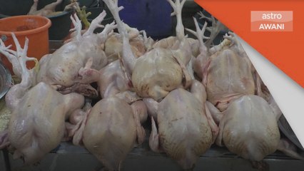 Harga Ayam Naik | Kos pengeluaran mungkin punca kenaikan harga