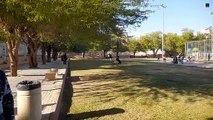 Riyadh Hara park. রিয়াদ হারা পার্ক।