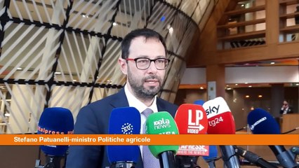 Pac, Patuanelli "Serve un regime transitorio"