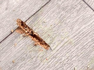 Belediye başkanına makam odasında silahlı saldırı