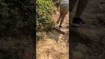 Springy Rat Snake Surprises Hikers