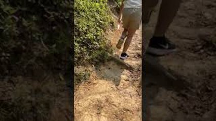 Springy Rat Snake Surprises Hikers