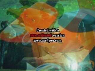 benny design perso scoot