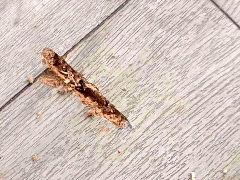 İş istediği belediye başkanına makamında silahlı saldırıda bulundu