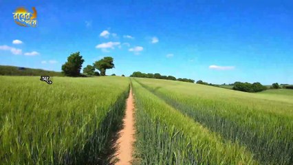 বাদশা ও বালকের কাহিনী  প্রকৃত ঘটনা কি  ইসলামী শিক্ষনীয় গল্প  ইসলামি স্টোরি  Rober Pothe