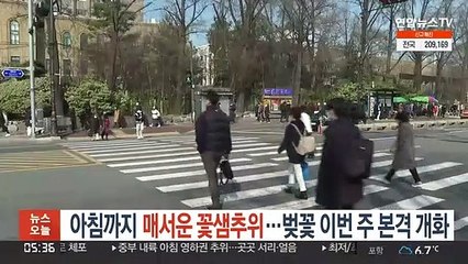 아침까지 매서운 꽃샘추위…벚꽃 이번 주 본격 개화