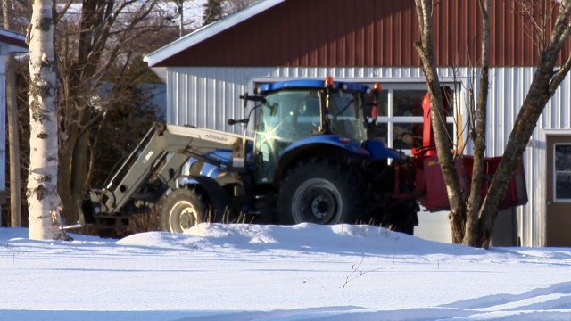21 mars TOPO ER travailleuse de rang