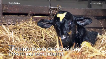 Γεωργοί και κτηνοτρόφοι συνεχίζουν να θρέφουν τον στρατό και τον λαό της Ουκρανίας