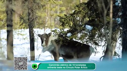 Caminhão elétrico de 16 toneladas enfrenta teste no Círculo Polar Ártico