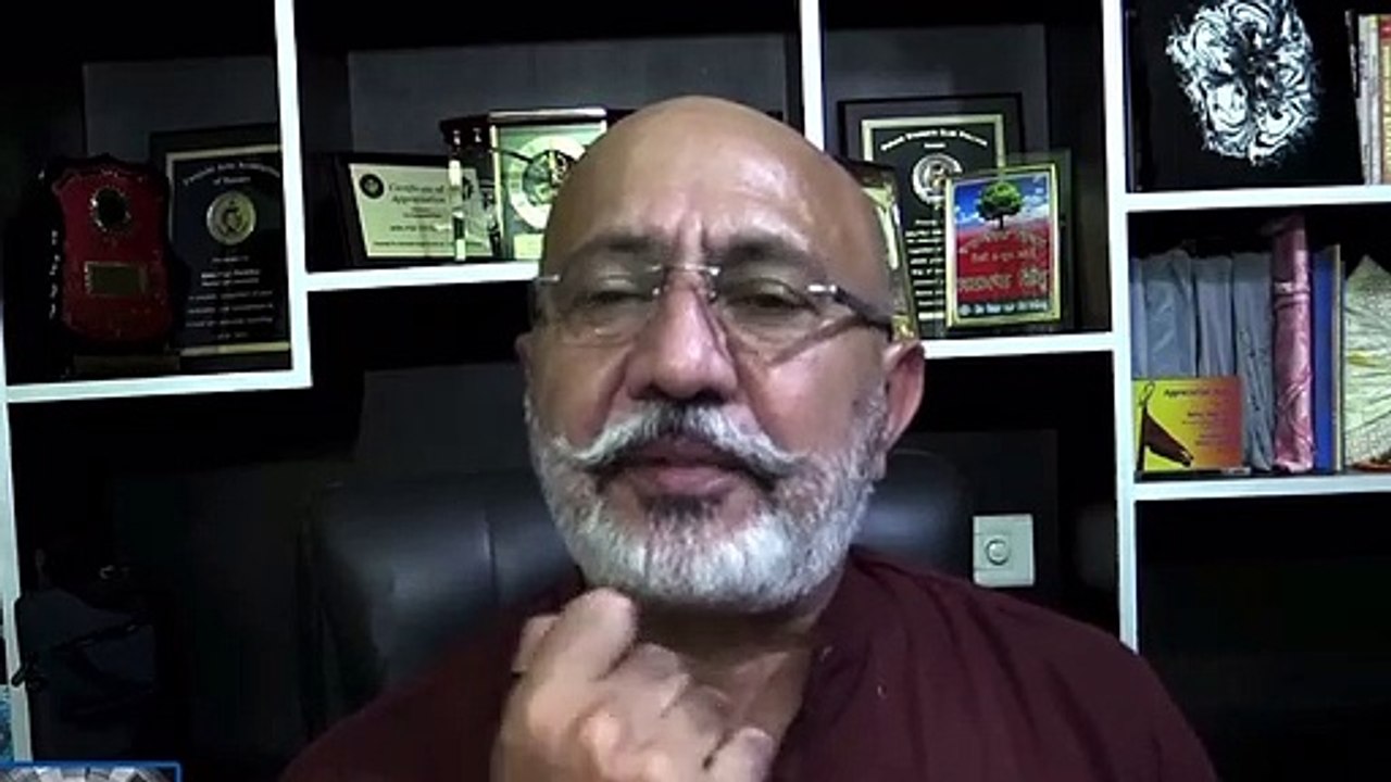 baltej pannu