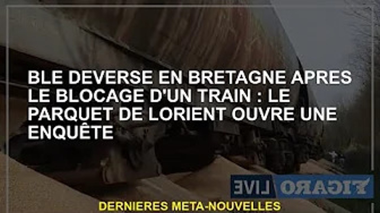 Déversement de blé en Bretagne après un embouteillage : le parquet de Lorient ouvre une enquête