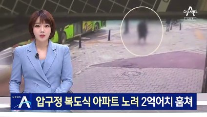 압구정동 돌며 강·절도…복도식 아파트만 노려 2억원치 훔쳐