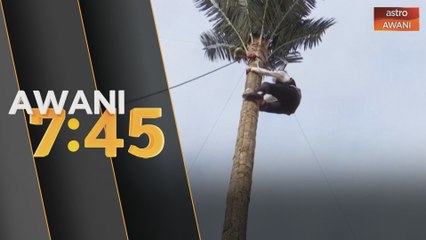 Hainan rancang popularkan lagi sukan panjat pokok kelapa