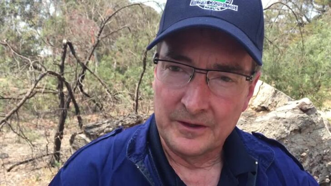 Bushfire Arson