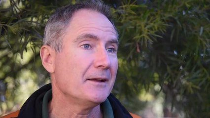 Getting Started: Your First Steps