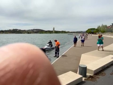 Police rescue kangaroo from Lake Burley Griffin