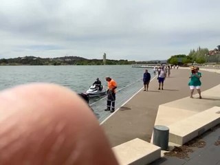 Police rescue kangaroo from Lake Burley Griffin