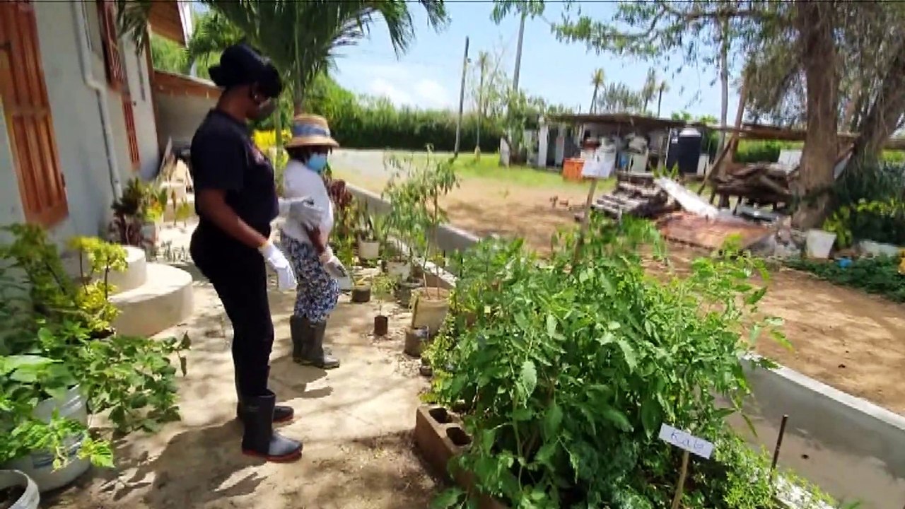 10 YEAR-OLD FEMALE FARMER