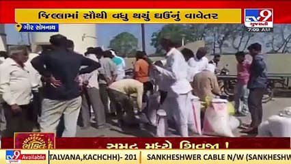 Gir Somnath _ Farmers delighted after getting good rates of wheat at Veraval market yard _TV9News