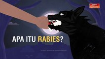 [INFOGRAFIK] Apa itu Rabies?