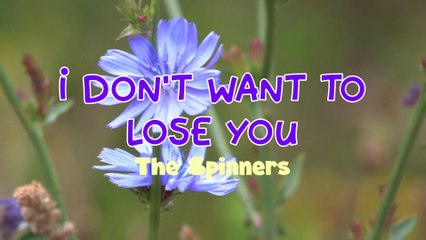 I Don't Want To Lose You - The Spinners | Karaoke Version |HD