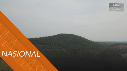 CBP kenakan larangan produk Sime Darby Plantation