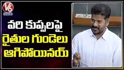 Congress MP Revanth Reddy Speech About Paddy Procurement in Lok Sabha _ V6 News