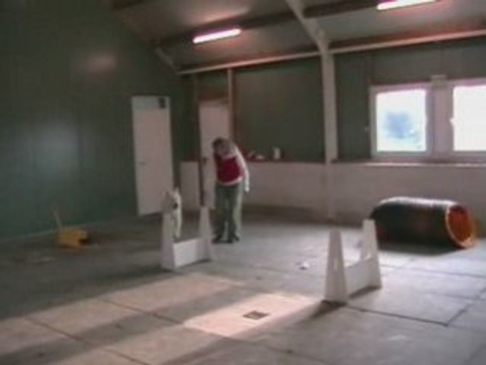 Izan flyball