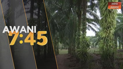 Kerajaan kesal AS sekali lagi sekat kemasukan minyak sawit