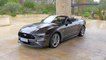 2022 Ford Mustang Design Preview in Grey
