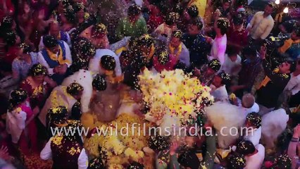 Best of India, best of wildfilmsindia MUST SEE Cannes 4K showreel
